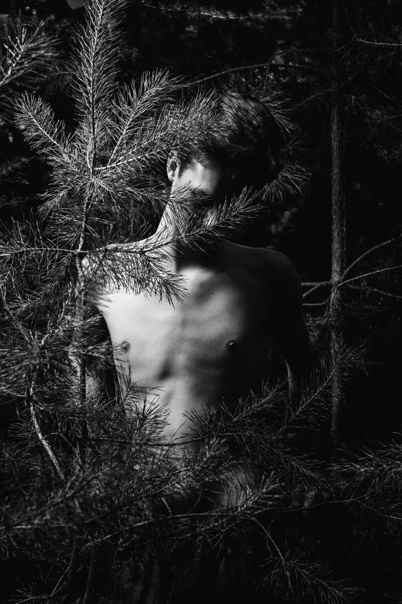 A poetic bA high-contrast black and white conceptual portrait of WOUTER for the ESTRANGED series by ARJAN SPANNENBURG, showing the subject behind pine branches.lack and white image by Arjan Spannenburg where sharp nature overlaps a blurred male figure, symbolizing the hidden struggles of queer identity.
